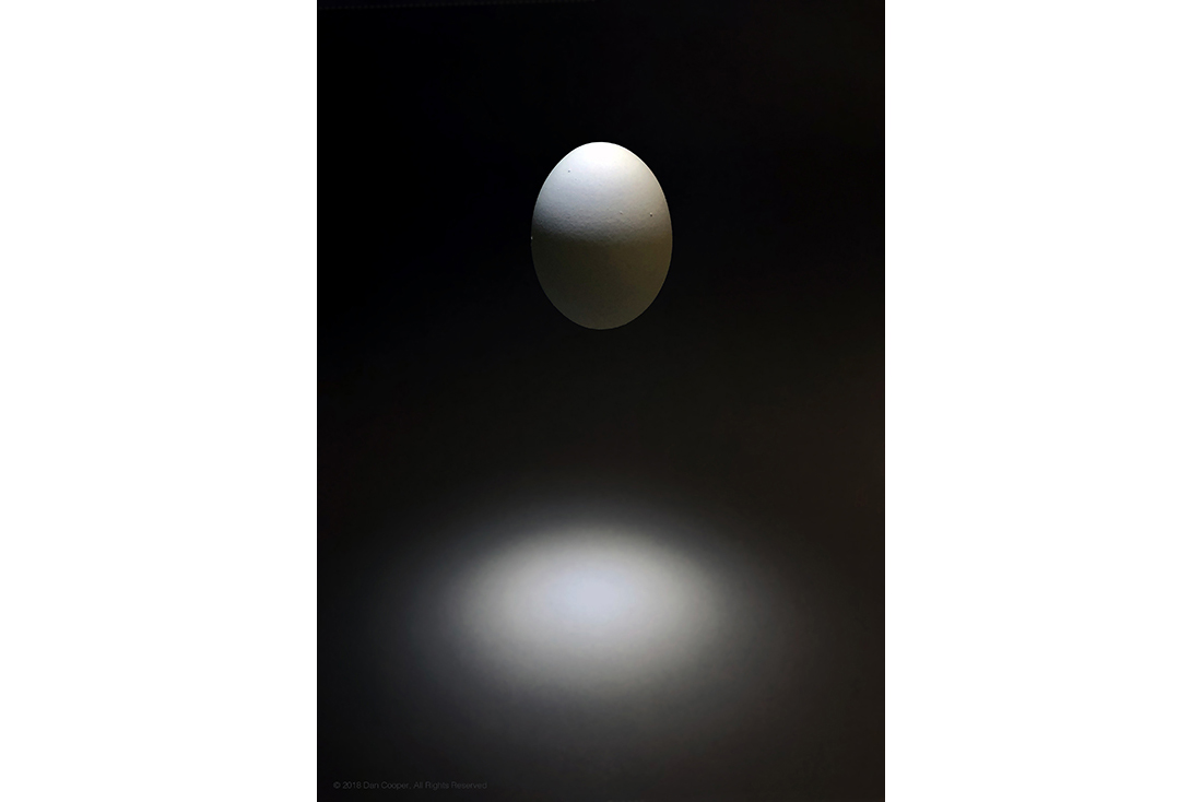 Floating Egg